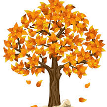 autumn tree autumn tree
